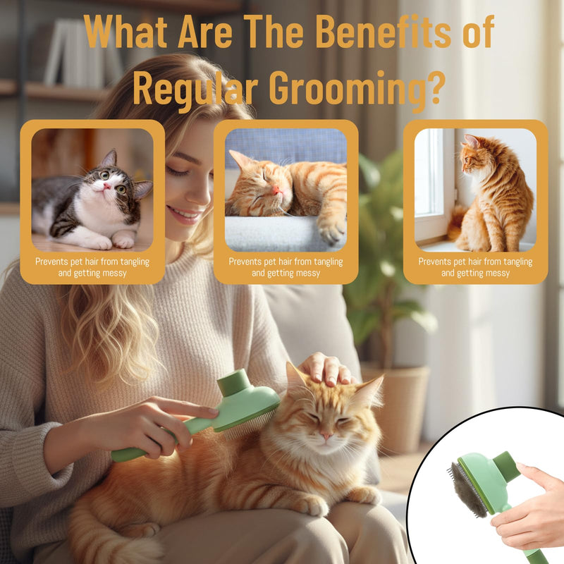 3-Piece Flea Comb Set for Cats, Flea Comb for Cats and Kittens, Cat Flea Comb with Stainless Steel Teeth, Flea Brush for Cat Grooming and Flea Removal, Gentle on Skin