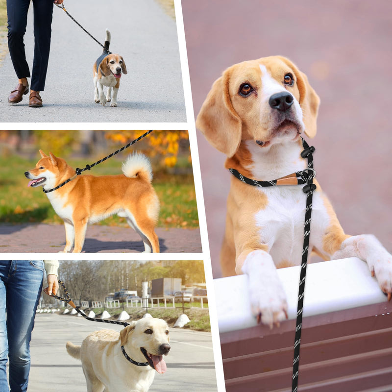 lynxking Slip Lead Dog Leash Reflective, Heavy Duty Comfortable Strong Rope Leash for Large, Medium Dogs, No Pull Pet Training Leash (Black, Large 1/2in x 6ft-Slip Lead) Black - PawsPlanet Australia