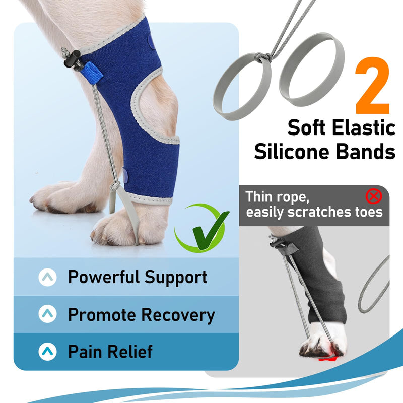 Supet Knuckling Brace for Dogs, Comfortable Foot Splint, Ankle Brace Back Leg for Toe Dragging Cause by Myelopathy, Sciatic Nerve Insufficiency & Herniated Disc (Blue, XL)