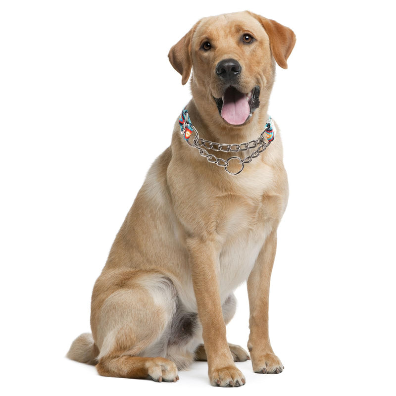 Stainless Steel Chain Martingale Collar for Dogs, No Pull Slip Cinch Choker Choke Collar Training Escape Proof Heavy Duty Dog Collar for Small Medium Large Pet Boy Male Dogs, Western Boho Aztec L L(Neck19-24") - PawsPlanet Australia
