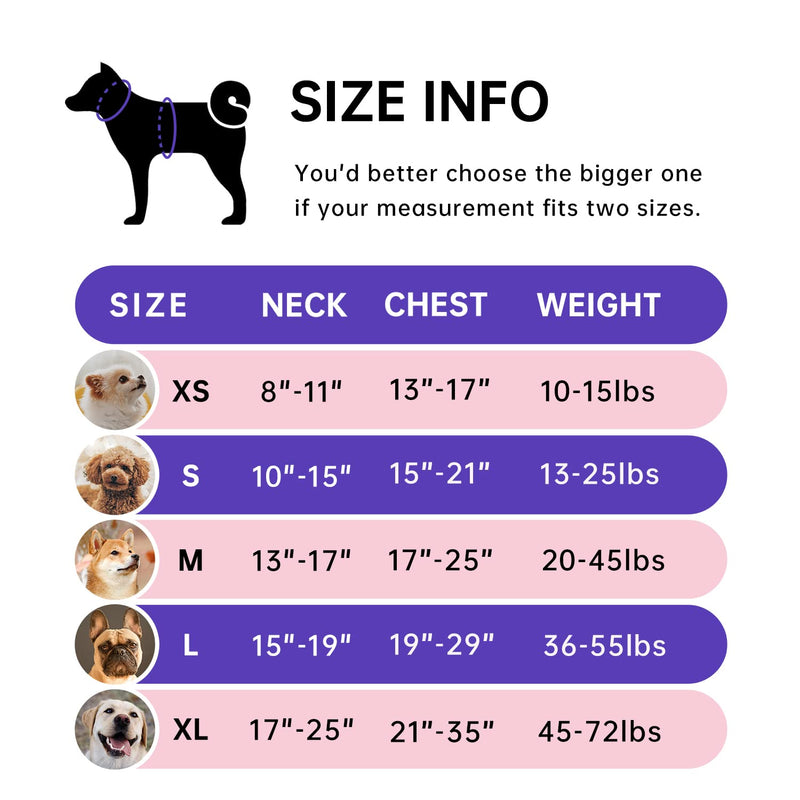 IVY&LANE Dog Harness Set Bundle Dog Collar and Leash Set | Small | Purple - PawsPlanet Australia