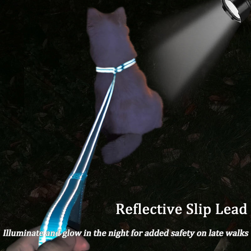 MayPaw Slip Lead Dog Leash, 3/4" Wide Reflective Nylon Training Lead with Padded Handle, 6 FT Flat Pet Leash for Groomers, Shelters, Rescues, Vets or Doggy Daycares 6 FT x 3/4" Wide black - PawsPlanet Australia