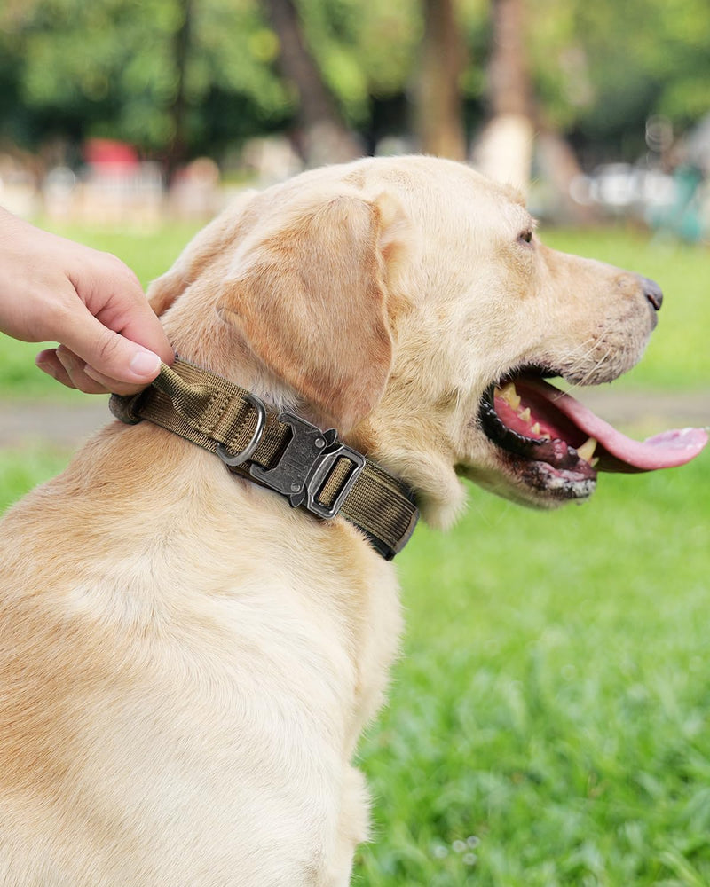 Joytale Tactical Dog Collar(17"-21") and Dog Leash Set, Shock Absorbing Bungee Dog Leash and Adjustable Strong Dog Collar with Handle for Large Dogs(Khaki, L) - PawsPlanet Australia