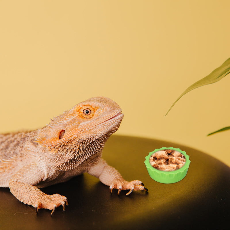 LXUEJEI 12Pcs Crested Gecko Food and Water Bowl, Reusable Silicone Feeding Dishes, Gecko Tank Accessories for Hermit Crab Tarantula Isopods Lizard Silicone Reptile Food Dish (6 Colors) - PawsPlanet Australia