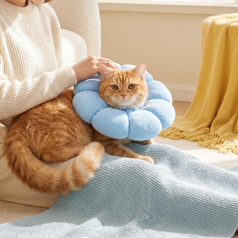 Cat neck brace, soft cat neck brace, lick protection for cats, soft dog neck brace, adjustable cat collar for small dogs & cats (blue) Blue