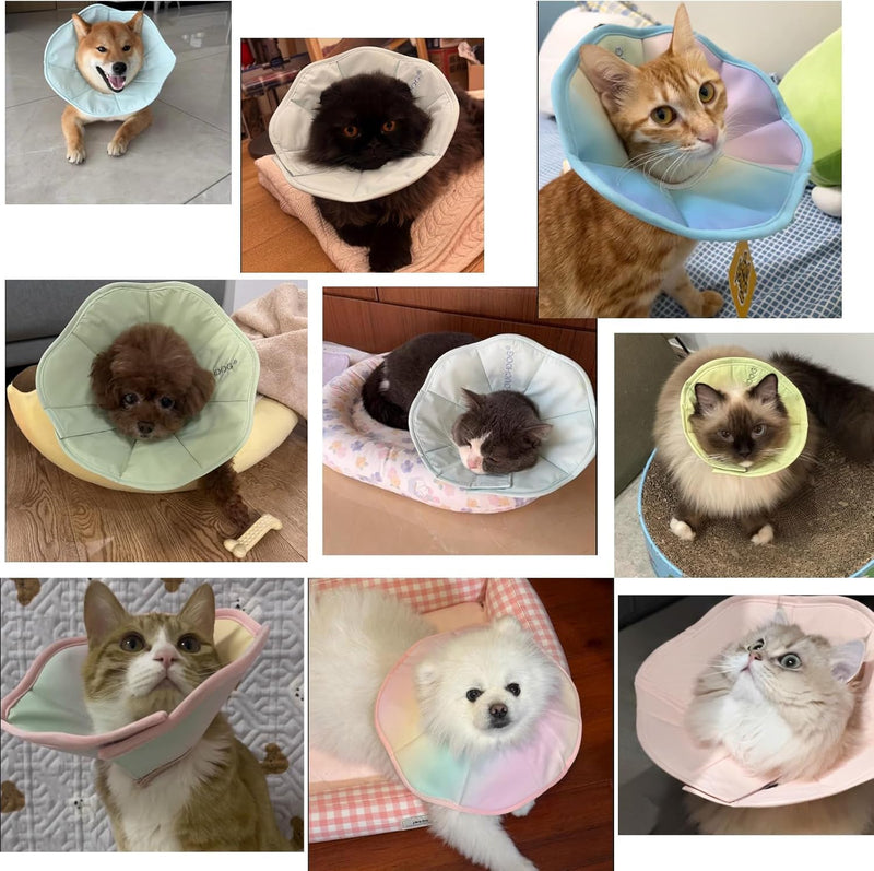 Touchdog Soft Cat Cone Collar, Waterproof Recovery Collar for Cats After Surgery, Lightweight Elizabethan Collar for Kittens, Small to Large (Blue, M) BLUE M-Neck:8.6-10.2"