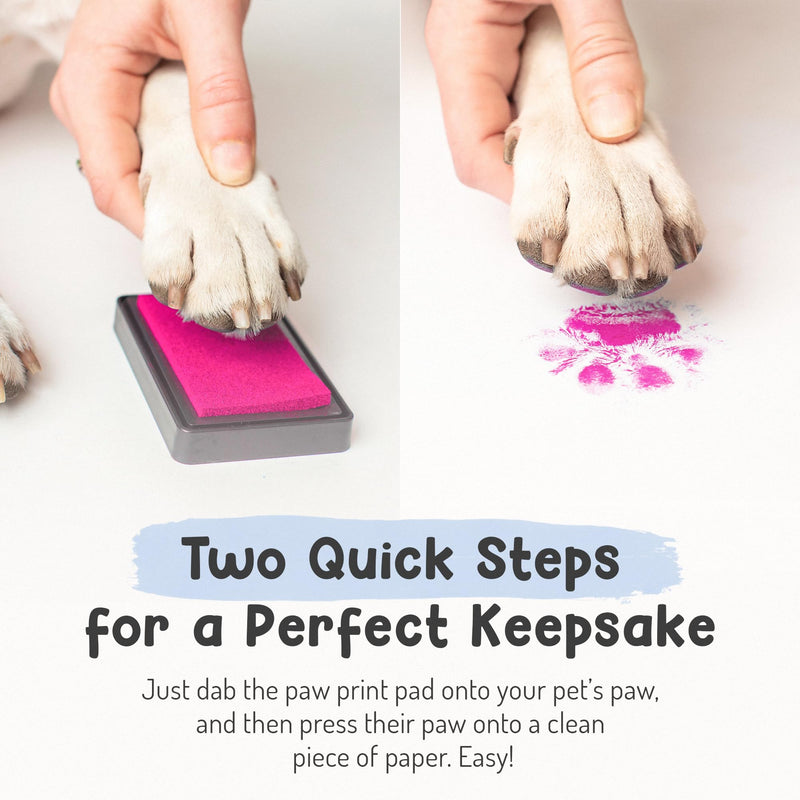 Pet Paw Print Impression Kit | Dog Ink Paw Print Kit | Pet Paw Print Kit | an Easy to Use Paw Print Stamp Pad for Dogs | Contains an Ink Pad for Dog Paw Prints That You Can Treasure (Black, Big) Black - PawsPlanet Australia