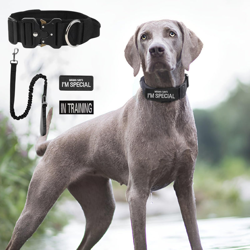 Tactical Dog Collar and Leash Set - Military Pet Collar with Handle and Heavy Metal Buckle Adjustable Dog Nylon Bungee Leash Dog Training Collar & Leash with Patches for Medium Large Dog (Black, L) Black - PawsPlanet Australia