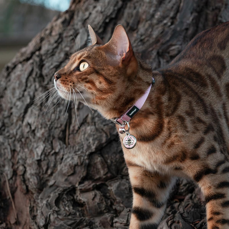 Red Dingo Classic Safety Release Breakaway Premium Cat Collar – Adjustable One Size Fits All with Soft Nylon Webbing, 4.4lb Safety Release Fish Clip, Stainless Steel D-Ring, Wildlife Bell – Pink - PawsPlanet Australia