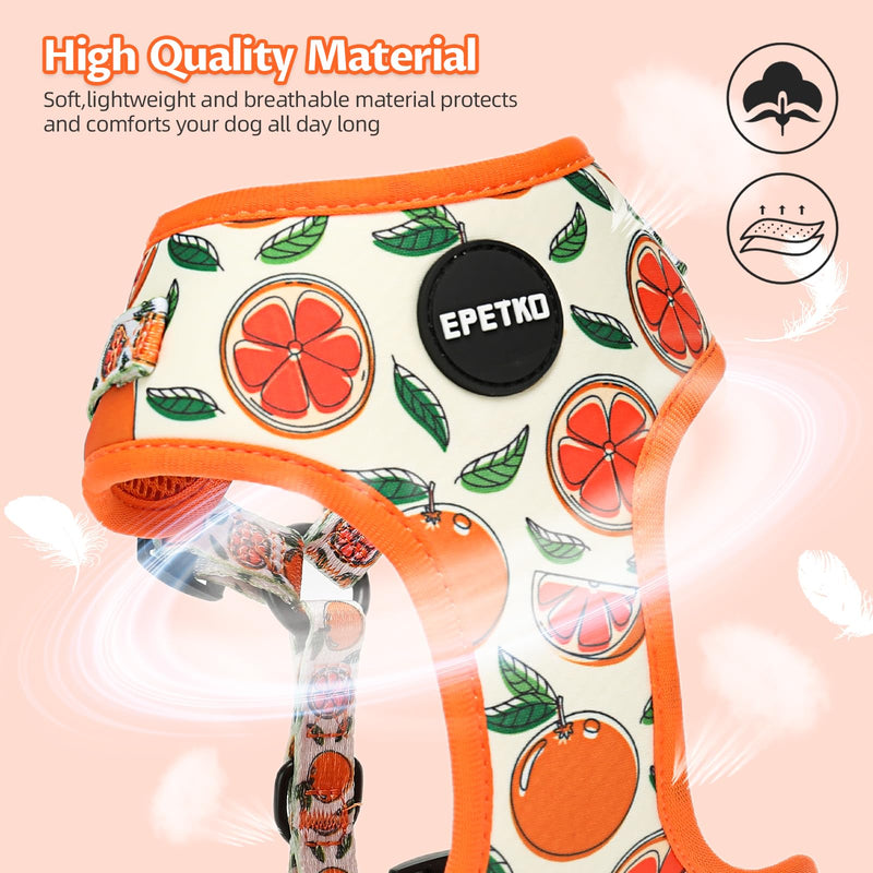 Dog Leash and Harness Set of 6, Soft Lightweight Mesh Step-in Puppy Harness, Adjustable Cute Floral Pattern Puppy Harness for Small Medium Dogs Orange M - PawsPlanet Australia