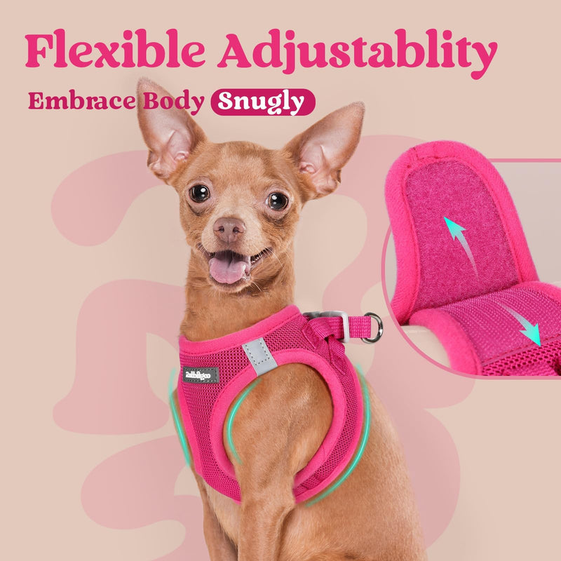 rabbitgoo Small Dog Harness, Step-in Soft Mesh Puppy Vest with Safety Buckle, Breathable Reflective Pet Harness for Small Sized Dogs, Rose Red S S(Chest:15.1"-16.5") - PawsPlanet Australia