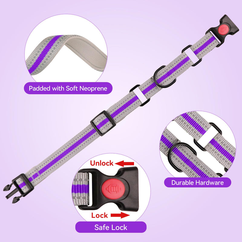 Martingale Collar for Dogs,Soft Neoprene Padded Reflective Martingale Collar and Leash Set Safety Buckle Nylon Martingale Dog Collar for Medium Dogs(Purple&M) Purple - PawsPlanet Australia