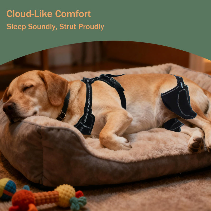 Dog Rear Leg Brace, Adjustable Hind Leg Splint Support for Torn ACL CCL, Luxating Patella & Hip Dysplasia, Breathable Non Slip Recovery Wrap for Medium Large Dogs M