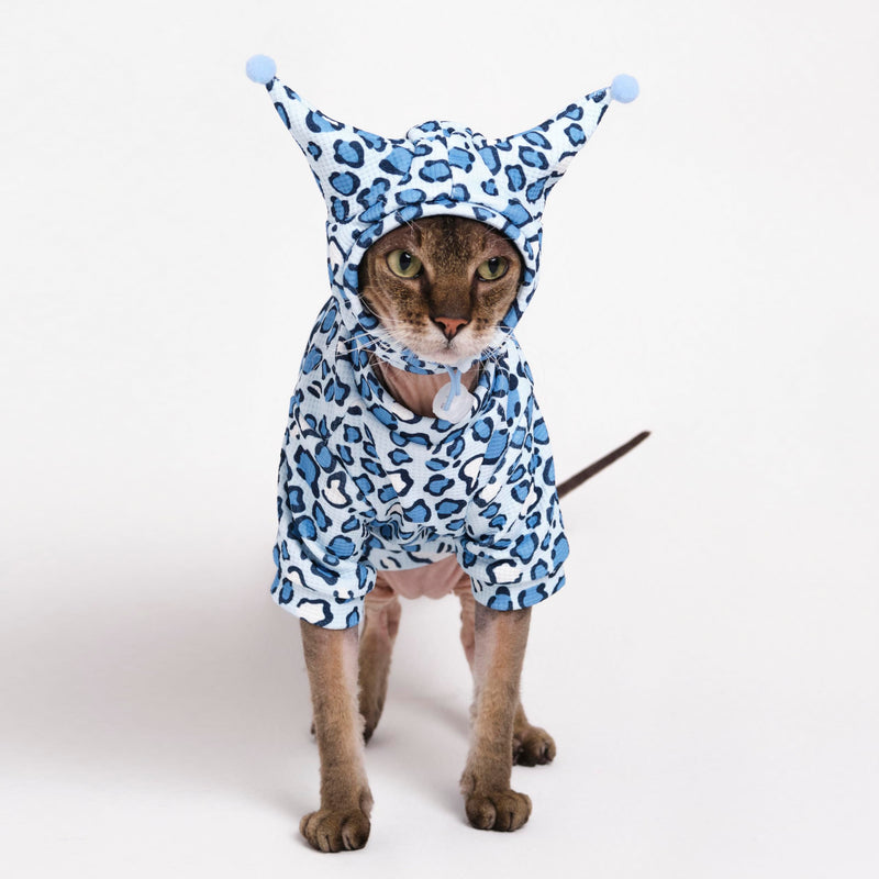 Sphynx Cat Clothes, Cat Suit with Hat and Sweatshirt, Full Set for Hairless Cats, Cornish Rex and Devon Rex (Blue Suit, S(2-3.5lbs)) Blue Suit S(2-3.5lbs) - PawsPlanet Australia