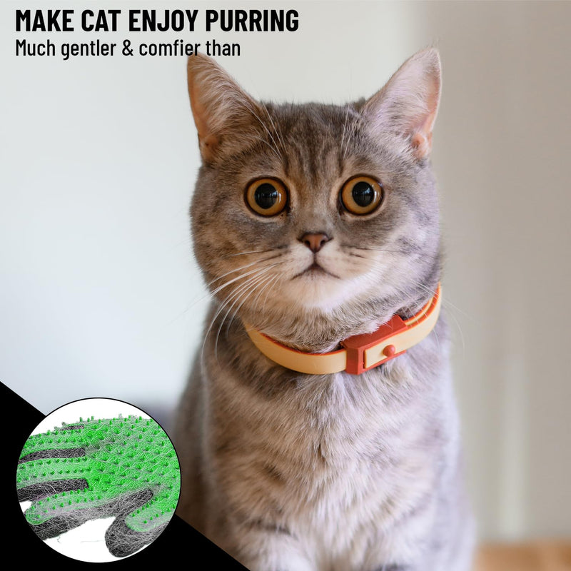 Complete Professional Pet Grooming Kit with Pet Hair Removal Tool Brush Gloves, Self Cleaning Slicker Brush, and Pro Grooming Dog Brush Deshedder Comb to Reduce Shedding (Green) Green - PawsPlanet Australia
