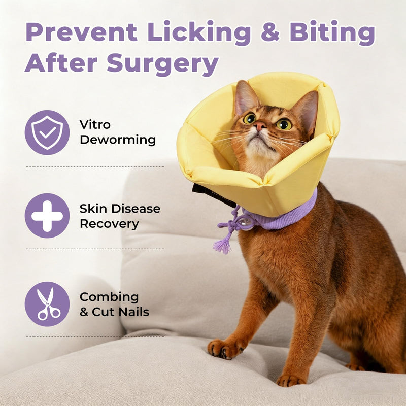 Cat Cone Collar Soft - Adjustable Recovery Collar for Cats & Small Dogs,Cute Waterproof E-Colar to Stop Licking & Scratching After Surgery Elizabethan Neck Cone(Green, XL) Green XL(Neck:7"-15")
