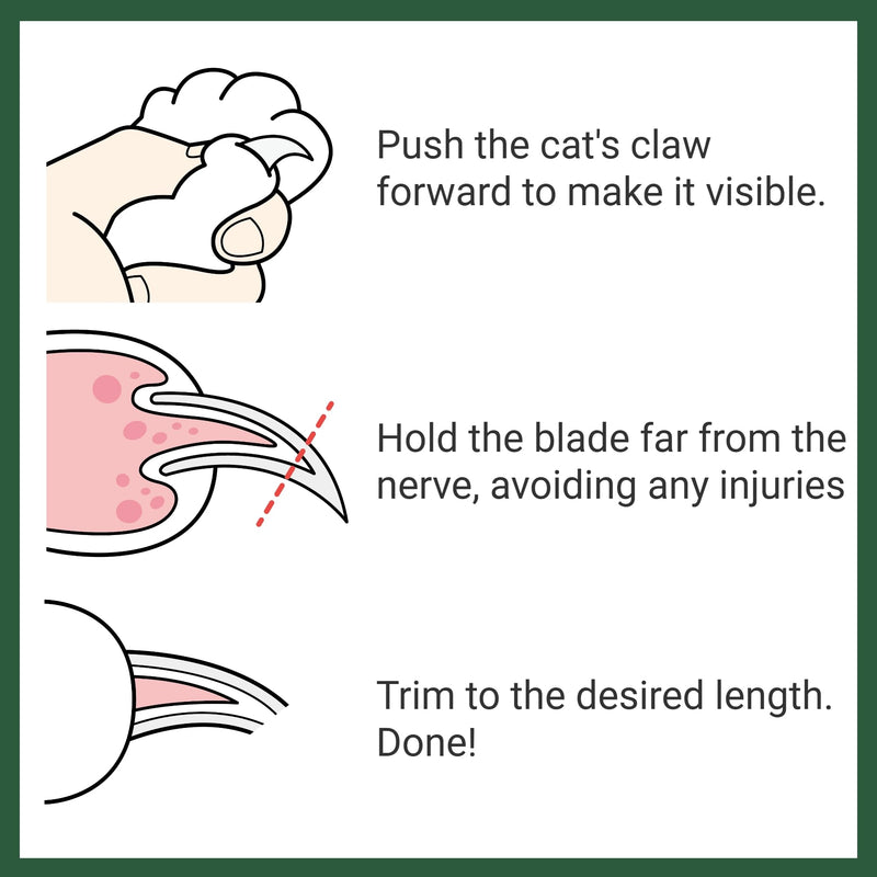 Cat Nail Clipper - Extra Sharp & Thin Blades for Indoor Cats, Small Dogs and Any Small Pets - Expertly Crafted in Korea - PawsPlanet Australia