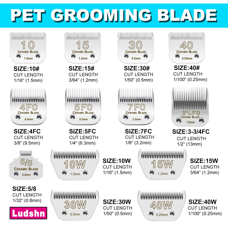 10# Blade Detachable Pet Clipper Replacement Blades Compatible with A*dis Pet Clipper/Oster A5/W*AHL KM Series Dog Clipper, Detachable Ceramic Blade,1/16-Inch Cut Length (1.5mm) 10# 1.5mm - PawsPlanet Australia