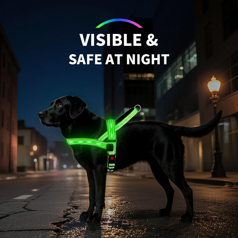 PetIsay LED Light Up Dog Harness - USB-C Rechargeable, IPX7 Waterproof, Reflective, No Pull Dog Vest with Soft Padded Handle for Night Walking(Pink, Medium) M Pink - PawsPlanet Australia