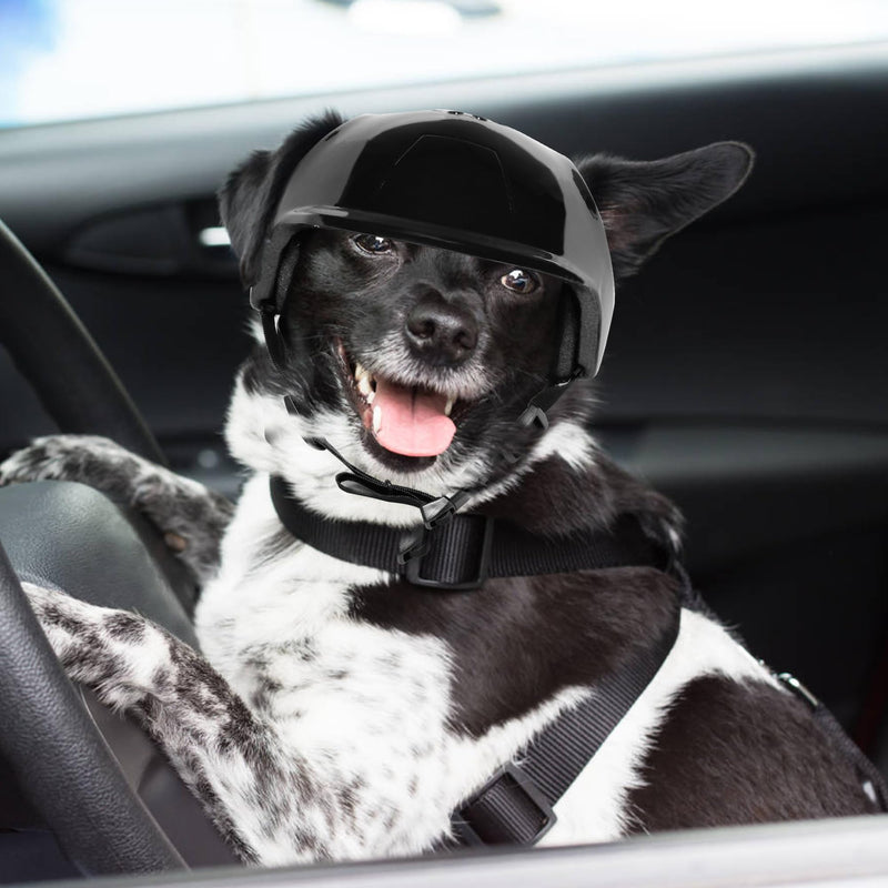 Dog Helmets for Small Dogs with Ear Holes, Hard Safety Pet Dog Hat for Puppy, Windproof Doggies Motorcycle Helmets for Outdoor Riding Hiking Cycling (Black, Small) - PawsPlanet Australia