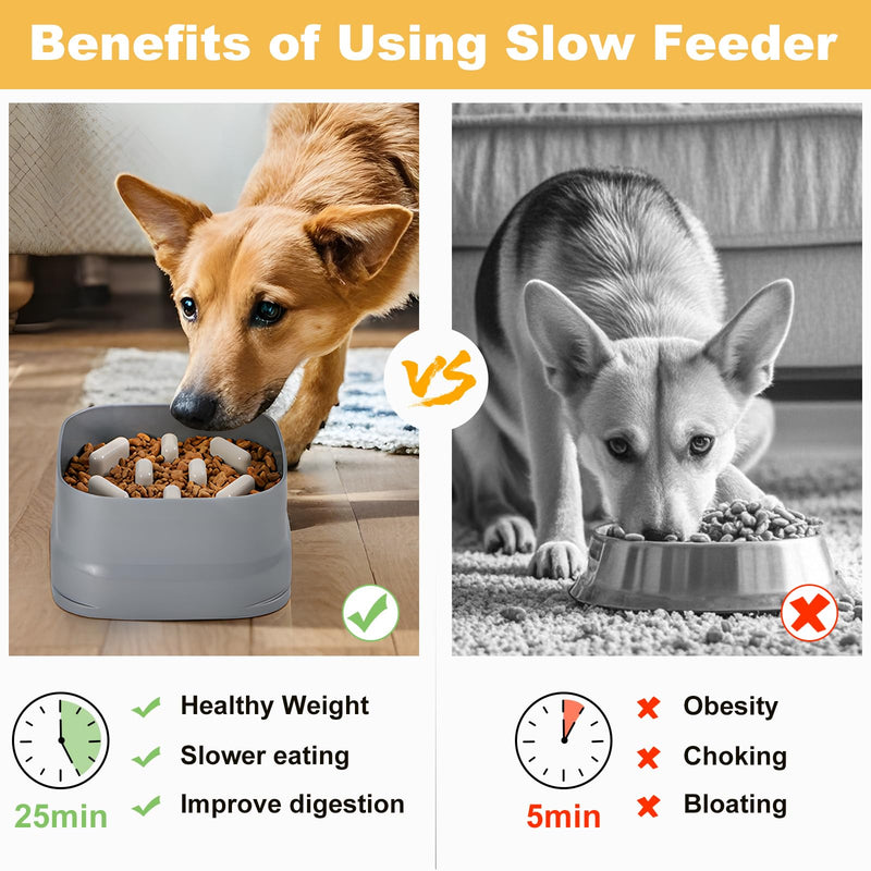 Sunhoo Slow Feeder Dog Bowls Large Breed Puppy Puzzle Feeding Dish Maze Feed Bowl Small Medium Dogs Plate Adjustable Ridges to Slower Down Eating Anti-slip Easy to Clean Indoor Use 7.5*7.5*4 in(Grey) Grey - PawsPlanet Australia