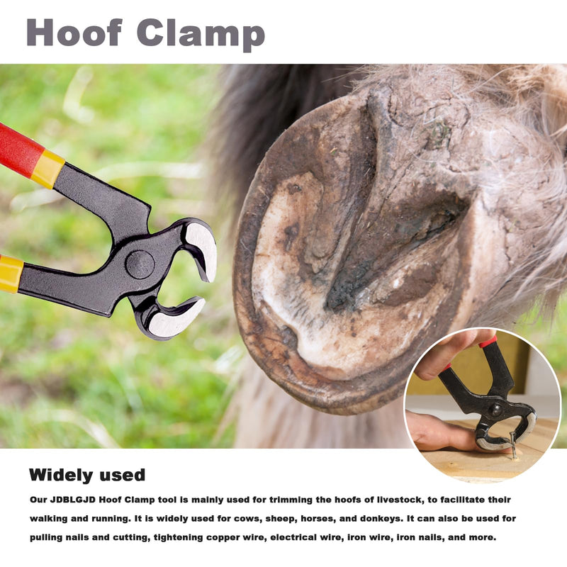 Farrier Tools, 8 Inch Farrier Tool Kits (8 Piece) Goat Hoof Trimmers Mini Rasp Hoof File Goat Pig Equine Metal Shears Professional Farriers Hoof Nipper Cutter Handle Knife Goat Supplies