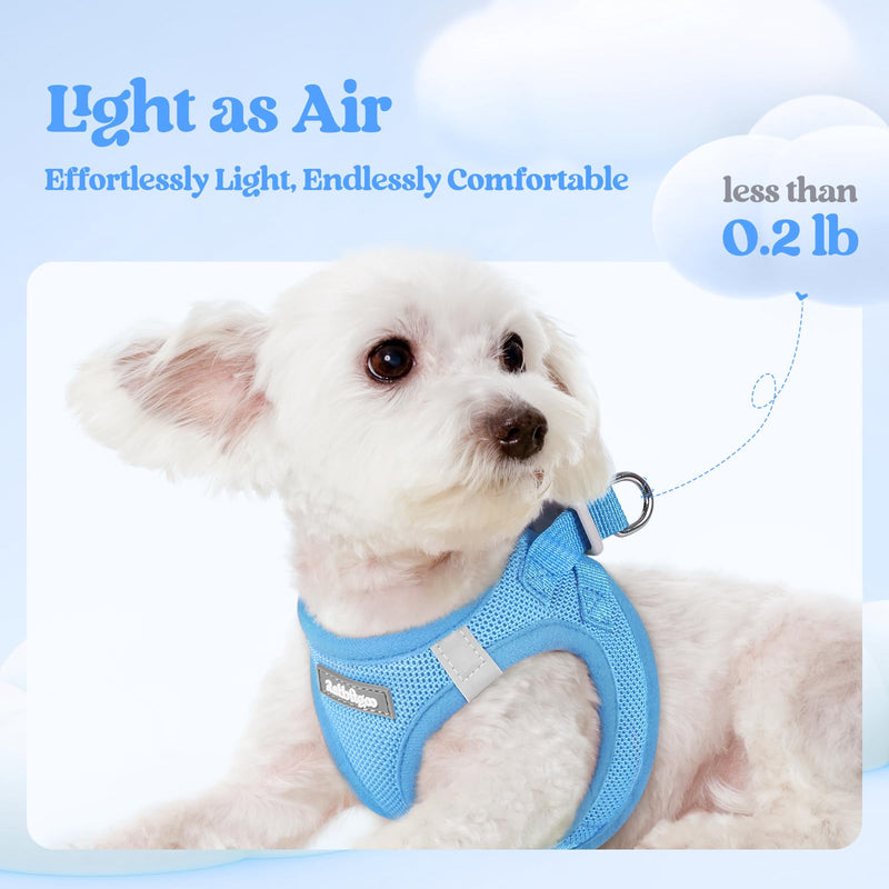 rabbitgoo Dog Harness Small Sized and Leash Set, Step in Soft Light Puppy Vest, Breathable Mesh Pet Harness, Reflective for Safe Easy Walking, Blue S S (Chest: 15.1 - 16.5") - PawsPlanet Australia