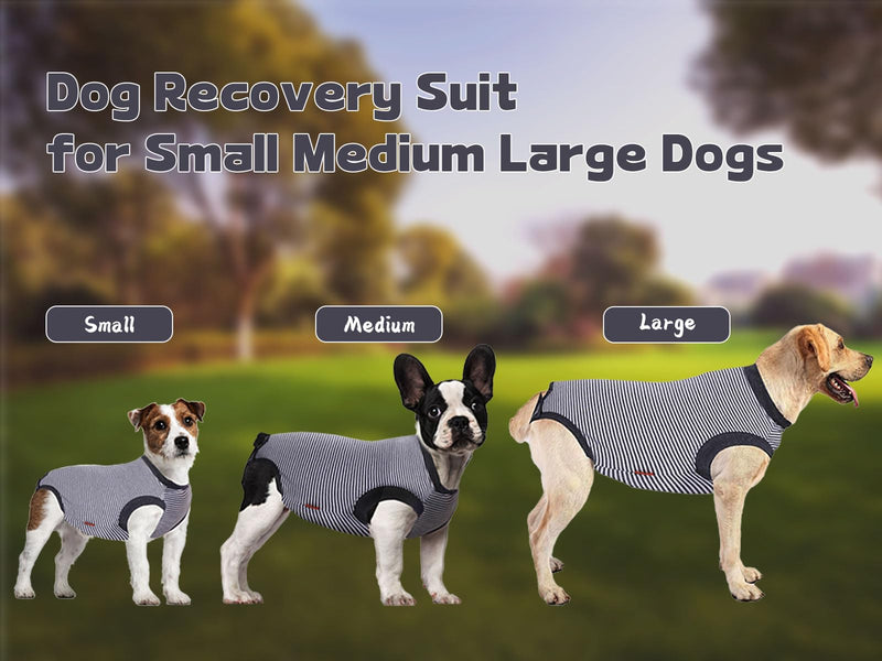 Dog Recovery Suit, Medium Dog Surgical Recovery Suit, Dog Surgery Recovery Suit for Male Neuter, Dog Spay Recovery Suit Female, Anti Licking Dog Recovery Onesie, Gray, M Medium (Back 14.6'', Chest 14''-17'') - PawsPlanet Australia