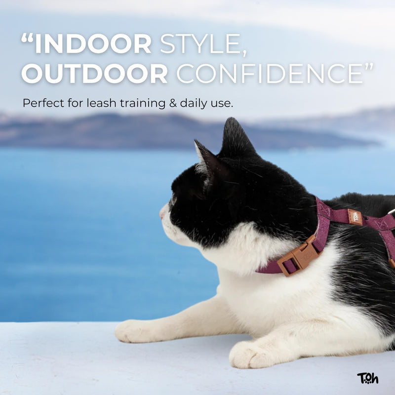 Cat Harness Set, Stylish Design with Adjustable Straps, Easy to Use and Comfortable Cat Harness and Leash, Perfect for Cats Training Outdoor Walking, Orange Khaki U Orange - PawsPlanet Australia