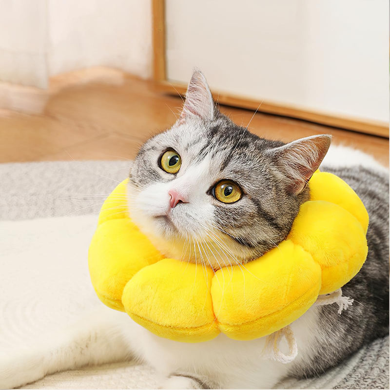 Cat Collar, Cat Collar, Elizabethan Collar for Cats, Soft Adjustable Collar for Pet Recovery, Protection from Licking and Scratching After Surgery (Yellow, M) yellow
