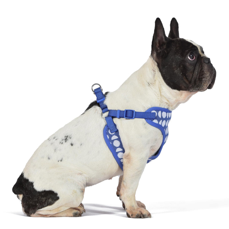 The Dodo Dog Harness, Blue Dodo Print, Size Medium; Easy Step-in Harness for Dogs; Breathable Mesh Fabric; Snap-Together, Pinch Release Buckle, Ring for Leash Attachment; Everyday Pet Apparel - PawsPlanet Australia
