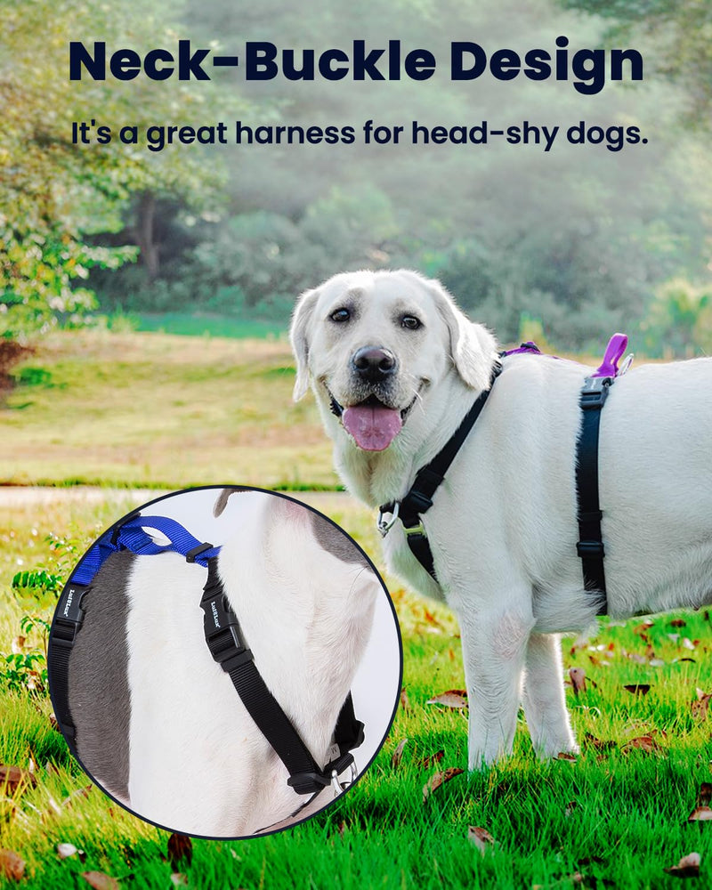 No Pull Dog Harness with Two Points Control Leash Set, Neck Buckle, Aluminum D-Rings, 6 Points Adjustment, Easy Walking and Training, Leash with 2 Clips (Harness-Leash Set, L) - PawsPlanet Australia