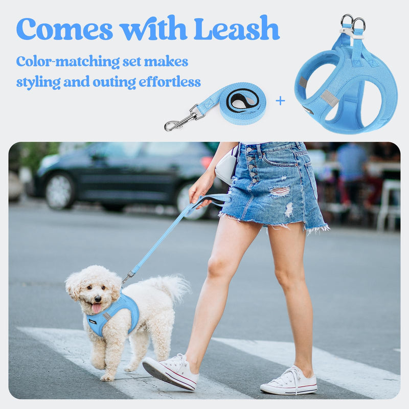 rabbitgoo Dog Harness Small Sized and Leash Set, Step in Soft Light Puppy Vest, Breathable Mesh Pet Harness, Reflective for Safe Easy Walking, Blue S S (Chest: 15.1 - 16.5") - PawsPlanet Australia