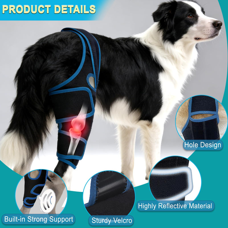 Dog Knee Brace for Torn ACL Hind Leg for Support Reflective Dog Joint Protection Arthritis Pain Relief Adjustable Recovery Brace for Dogs Front Back Leg Vet-Recommended L Blue