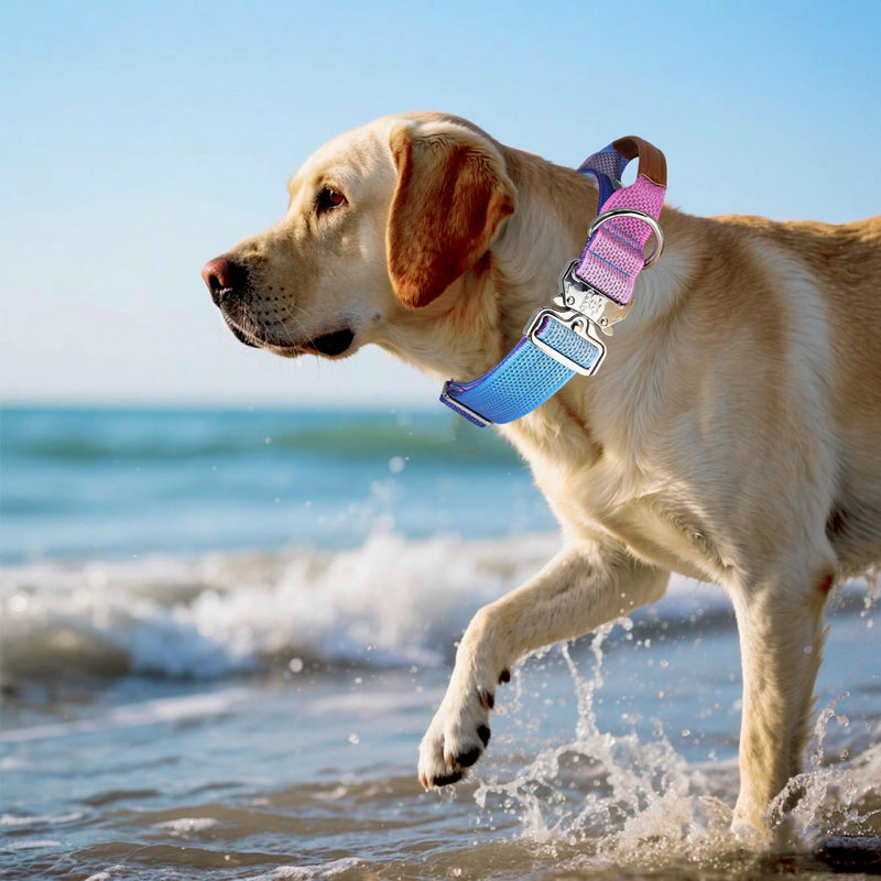 Tactical Dog Collar, Wide Thick Reflective Tactical Military Dog Collar with Handle for Large Dogs, Soft Padded Heavy Duty Dog Collar with Quick Release Metal Buckle (Purple, L) Purple Neck Girth: 16”-26”