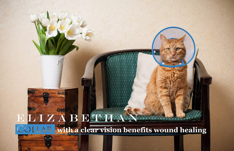 Cat Cone Collar, to Stop Licking, Recovery Elizabethan After Surgery, Clear Soft Neck E-Collar, Not Block Vision, for Kitten Puppy Dog Pet in Surgery Remedy - M in Blue 6"-9" - PawsPlanet Australia