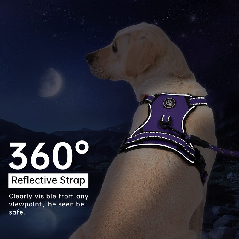 IVY&LANE Dog Harness Set Bundle Dog Collar and Leash Set | Small | Purple - PawsPlanet Australia