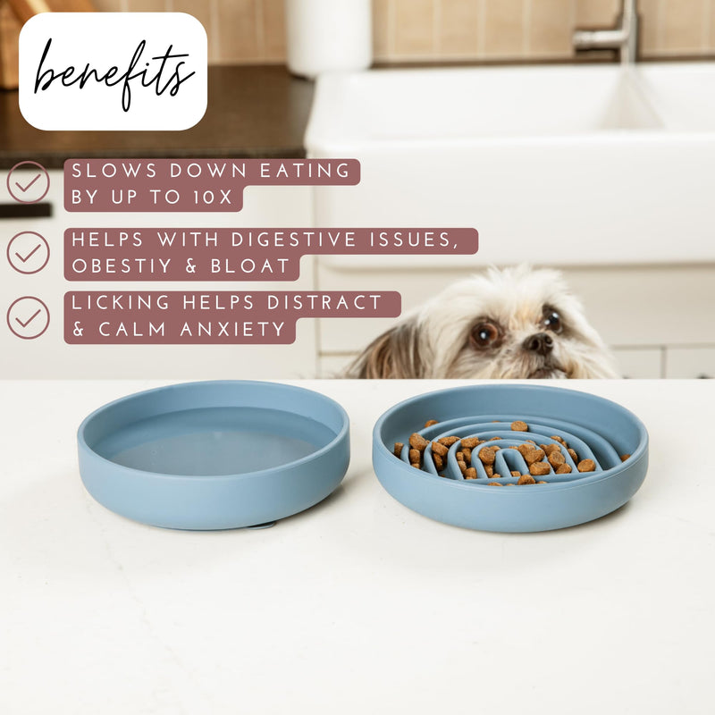The Slowdown Bowl - Silicone Slow Feeder, Slow Eating, Modern Lick Mat Design, Reduces Gulping, Dishwasher Fit, for All Cat & Dog Breeds, Mealtime Challenge, Small-Spruce Spruce - Rainbow Design - PawsPlanet Australia