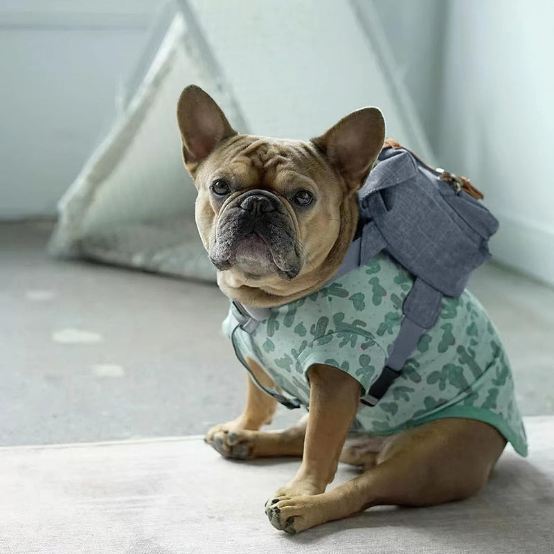 Cute Dog Backpack for Dogs to Wear Puppy Backpacks Adjustable Pet Self Carrier Bag with Harness Buckle for Hiking Daily Walking, Blue - PawsPlanet Australia