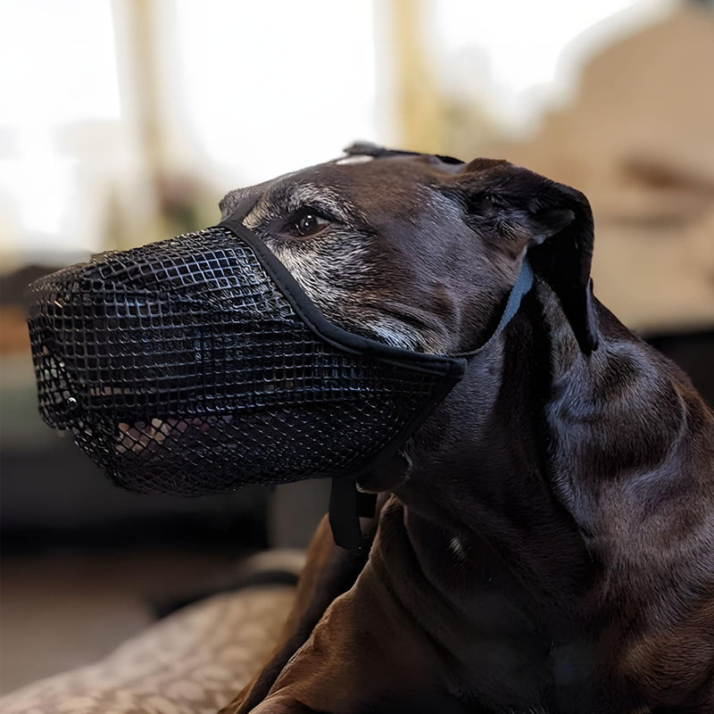 Dog Muzzle - Black Soft Mesh Breathable Mouth Cover Designed Specifically for Small, Medium, and Large Dogs - Effective Chew Guard and Bite Prevention to Ensure Safe, M Black - PawsPlanet Australia