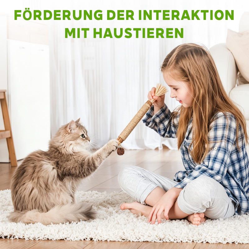 LATRAT 6 Catnip Sticks, Cat Dental Care and Against Bad Breath, Safe Cat Chew Toy for Stress Relief, Catnip Toy for Kittens & Cats