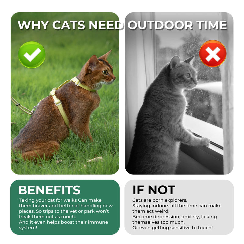 Cat Harness and Leash Set - Green Lightweight Soft Kitten Harness Escape Proof, Adjustable Travel Pet Harness for Walking，Easy Control Comfortable Outdoor (Green, One Size Fits All) - PawsPlanet Australia