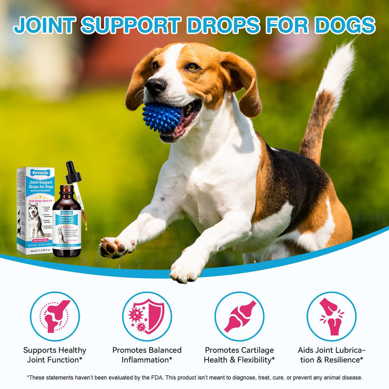 Pain Relief for Dogs, Hip & Joint Glucosamine Drops for Dogs, Chondroitin Drops for Dogs, Natural Formula with Essential Nutrients for Active & Aging Dog, 60ml - PawsPlanet Australia