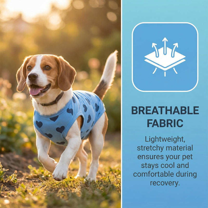 Dog Recovery Suit, Anti-Licking Puppy Medical Surgical Suits Post-Operative Abdominal Wounds Protector, Cotton with Top Zip Cozy Dogs Onesie for Small Medium Dog Cat Cone Alternative (M, B)