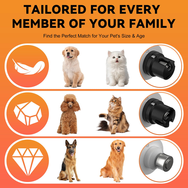 Silent Groom Pro Nail Grinder for Dogs - Quiet Dog Nail Grinder with LED Light, 3-Speed Cordless, 2000mAh Battery & 2 Grinding Heads for Safe Trimming of Small, Medium, Large Dogs and Cats - PawsPlanet Australia