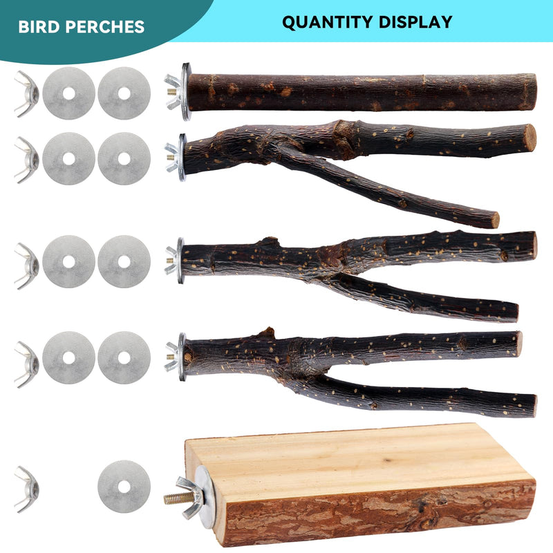 Bird Toys Parakeet Perch Budgie Perch Wood Stand Fork Toys Multi-Branch Perch Platform Toy for Small Conures,Cockatiel,Parrotlet,Lovebird,Parrot,Finches - PawsPlanet Australia