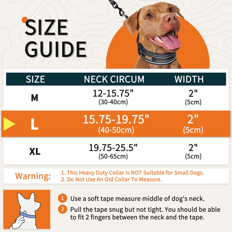 Mayerzon 2 Inch Wide Martingale Collar for Large Medium Dogs, Reflective Walking Training No Pull Collar for Pitbull German Shepherd Rottweiler Doberman, Adjustable Heavy Duty Thick Nylon with Buckle Black Large: 15.75''-19.75'' - PawsPlanet Australia