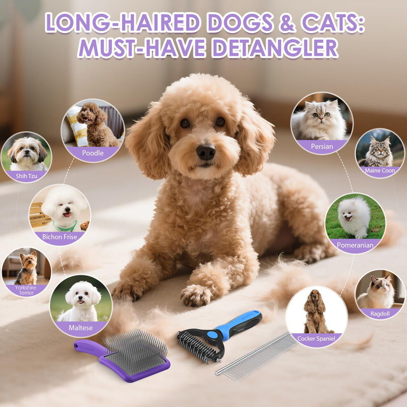 Large Slicker Brush for Dogs - 3PC Pet Grooming Kit - Undercoat Rake & Stainless Comb | Long Pins Remove Mats on Poodles, Golden, Labradoodles | Thick Coat Deshedder for Dogs, Cats, Purple - PawsPlanet Australia