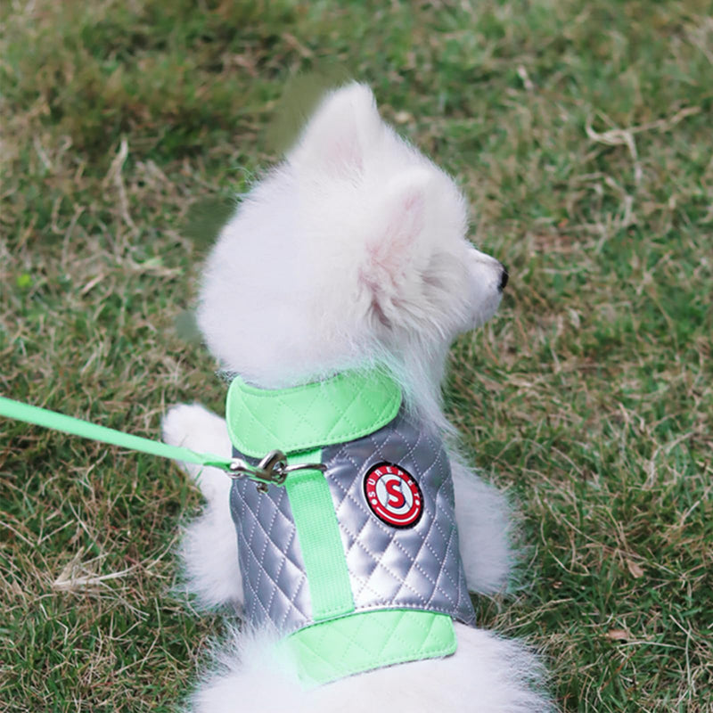 Dog Harness for Small Medium Dogs, No Pull Adjustable Puppy Harness and Leash Set Waterproof & Dirt-Resistant, Breathable Padded Vest Harness for Puppy Grey - PawsPlanet Australia