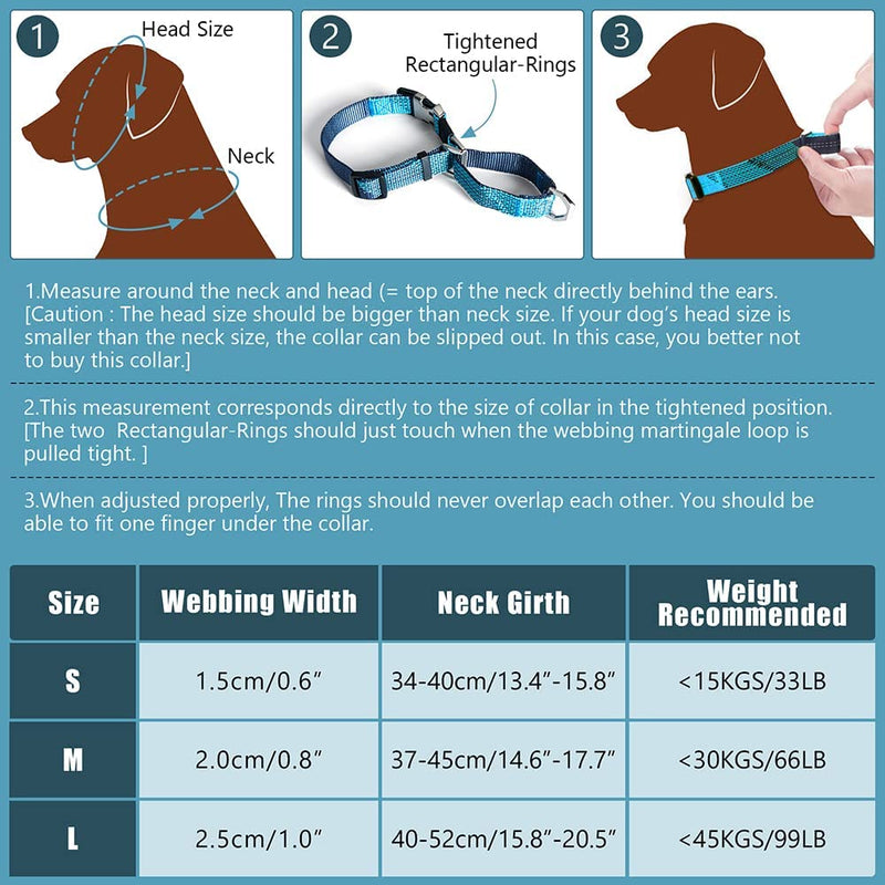 Colorful Martingale Collar for Dog Training -[Neoman] Safe & Humane Reflective Dog Collar for No Pull Training, Walking - Heavy Duty D-Ring, Quick-Release Buckle, Adjustable Clip [Large Blue] Large-NeckGirth:15.8~20.5Inch - PawsPlanet Australia